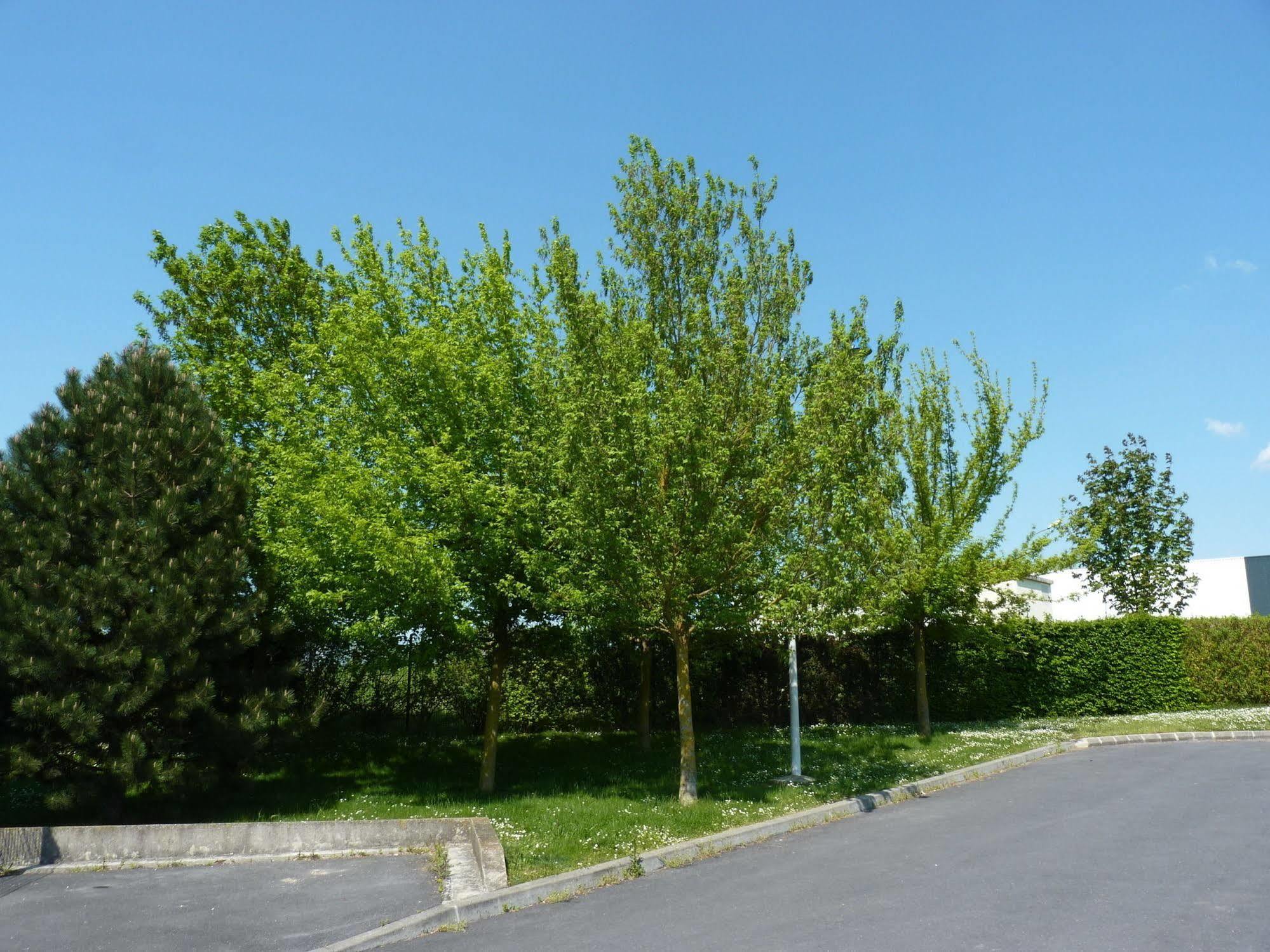 En Champagne 2*